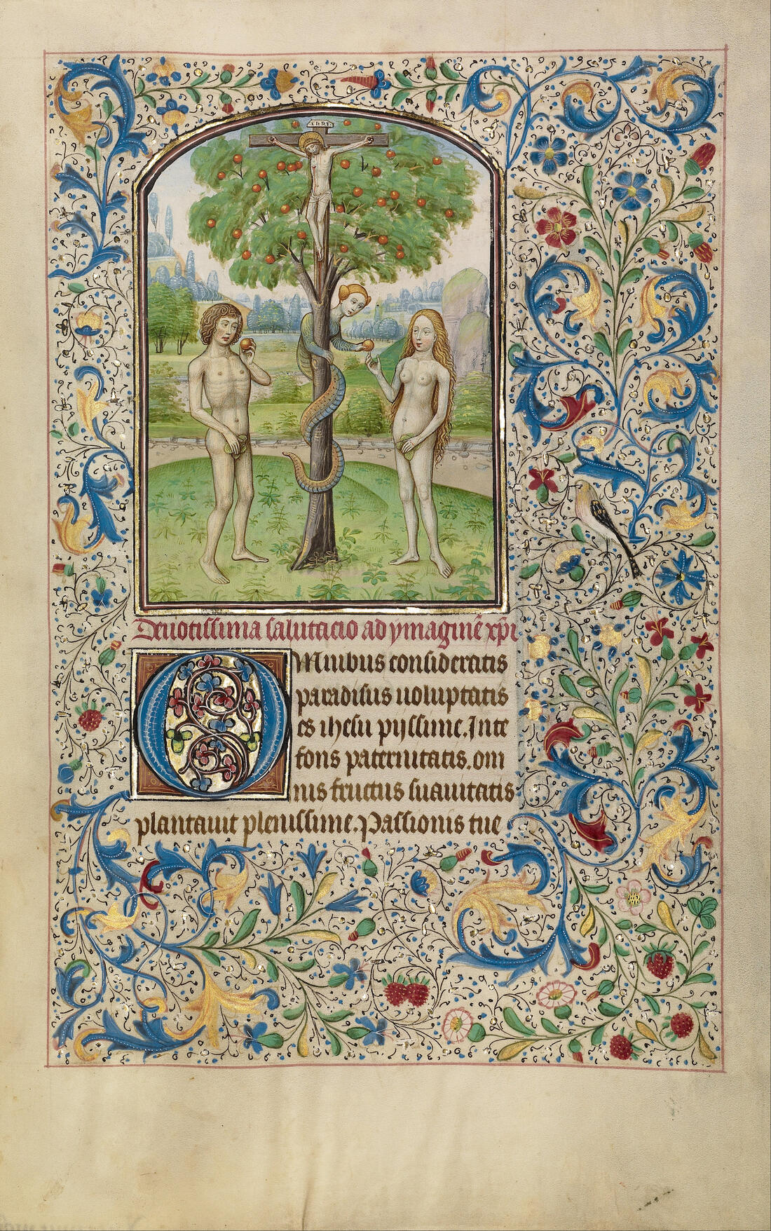 image from wikipedia